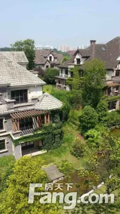 金科廊桥水乡别墅实景图