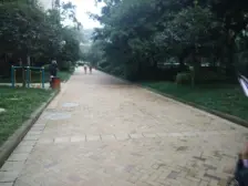 丽都锦城 1室1厅 南