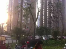 南河丽景A区 1室1厅 南