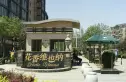 花香维也纳实景图