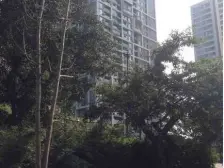 阳光100国际新城 2室2厅 东北