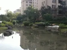 端户大花园别墅 临虎溪河 全款证在手交易方便