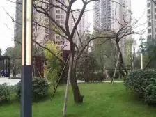 楼间距开阔,小区环境好,视野好,户型好