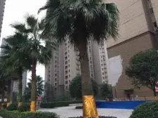 金科六期 精装小两房 住家装修 看房方便 永辉楼上