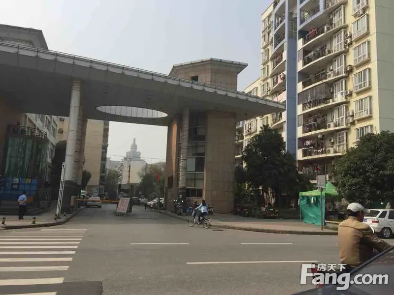 实景图