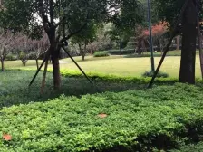 看公园 满眼绿色景观 总价低 清水房可以自己装修