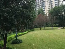 南滨路 龙湖郦江 龙湖物 业主住家装修拎包入住