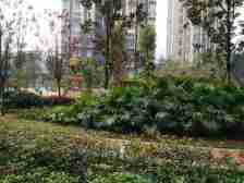 八桥 中豪公园尚城三房97.5万