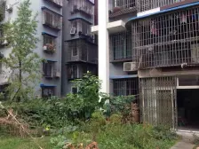 南河丽景D区 1室1厅 东南