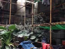 天星公交车站边上,户型方正,正规小两房 位置好