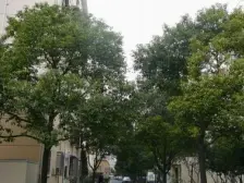 古美罗阳·古美四村·2室·1厅