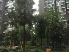 沙河壹号二期 3室1厅 南