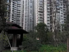 特价房源欢迎看房子特价看房的