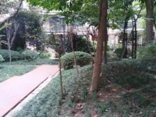 回兴 旭辉朗香郡四房150万