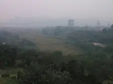 金融广场 1室1厅 南