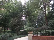 龙头寺 鲁能星城十二街区四房158万