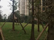 近轻轨近光环 精装大两房,出门即公园,视野采光好,