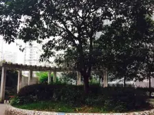 小两室 出入方便 业主诚心出售