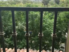 大学城 美丽时光一房56万