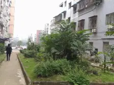 户型方正,通风采光好,园林景观漂亮,出入方便。