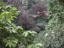 宏宇大道大户型,住家装修大户型,业主安心出售