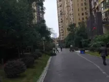 花园小区,看房方便,户型方正视野看中庭