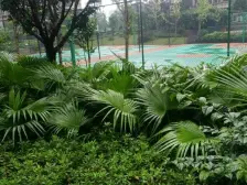 大学城金科廊桥水乡精装三房,业主诚心出售