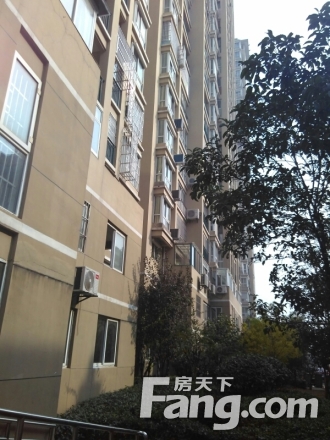 金都花园实景图