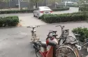 和谐家园实景图