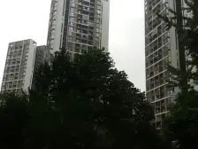 西区 汇祥好莱坞三房110万