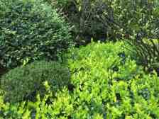 云飞路旁 联排别墅端户 前后花园带地下室