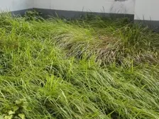 奥林匹克花园精装复式,大四房带30平露台空中别墅