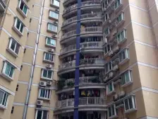 华宇广场 3室1厅 东南