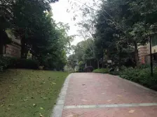 近轻轨+小高层+洋楼+2梯+环境好+圈层好+视野开阔