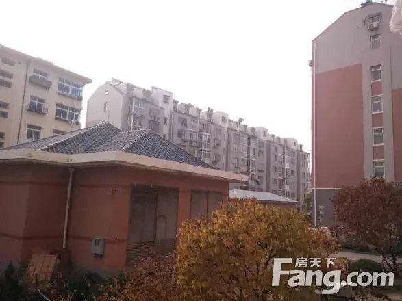 金北花园实景图