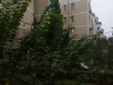 刚需上车,无抵押 产权清晰 新上房源