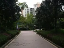 一楼带花园得了哦