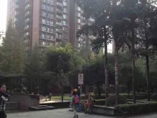 龙头寺 华宇北城中央三房106万