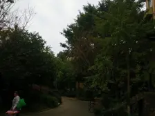 汽博中心 绿地翠谷四期勃朗廷三房205万