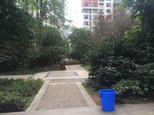 西区 金色池塘三房110万