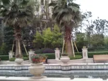 西区 融创嘉德领馆三房113.3万