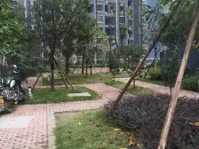 石坪桥正街 正规两房 采光好 随时看房