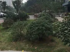 志高花园 1室1厅 南