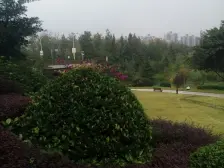 端户大花园别墅 临虎溪河 全款证在手交易方便