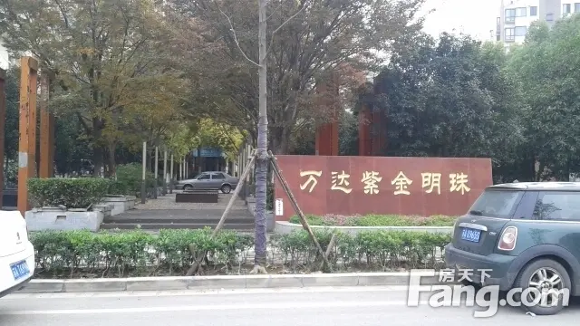 万达紫金明珠实景图