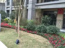 西永 隆鑫花漾汇一房21万