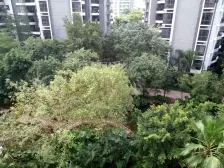 星河传说顶楼复式,带私家花园,两梯四户,高层朝南