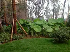 方正大三房 通透大平层 一梯两户美式装修风格