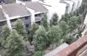 天府江南实景图
