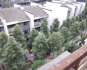 天府江南A区 3室2厅 南